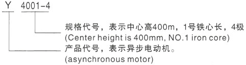 西安泰富西玛Y系列(H355-1000)高压会昌三相异步电机型号说明